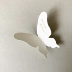 ちょうちょ　席札